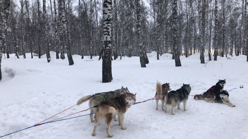 Gina Gerson in Siberia