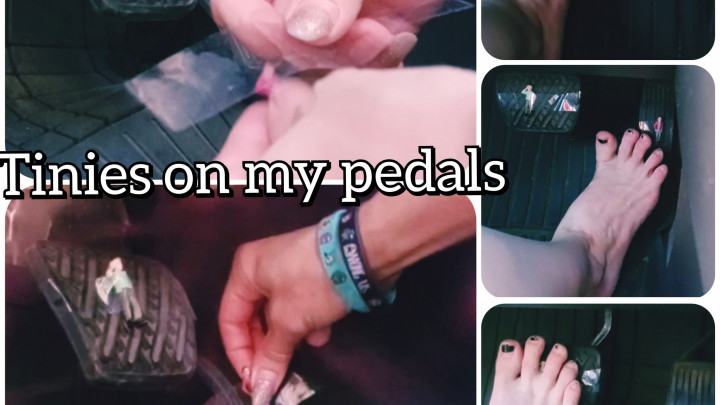Tinies taped to my pedals - Aug 30, 2022