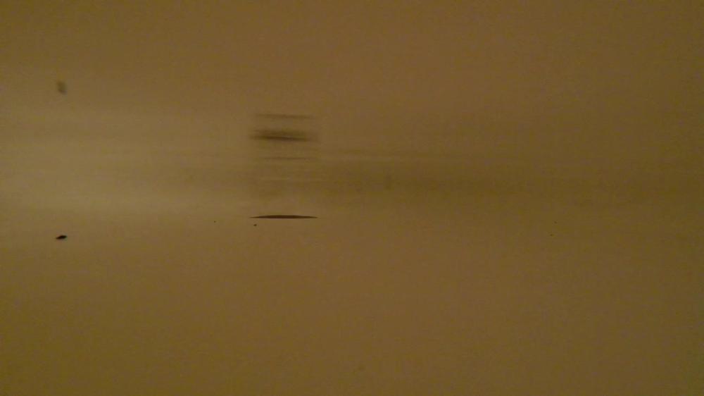 Buddahsplayground The Tiny Escapee