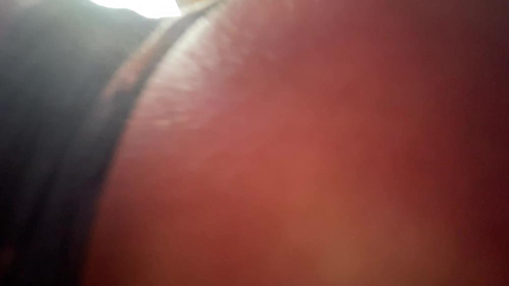 Mean Asian Wife Facesitting - Your Wife Is On The Leash | Brutal Facesitting Humiliation Pov