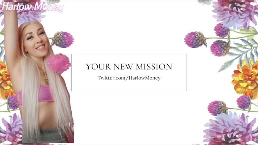 You're new mission
