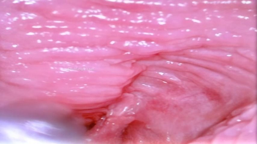 Vagina Sensations Map - Apr 30, 2022
