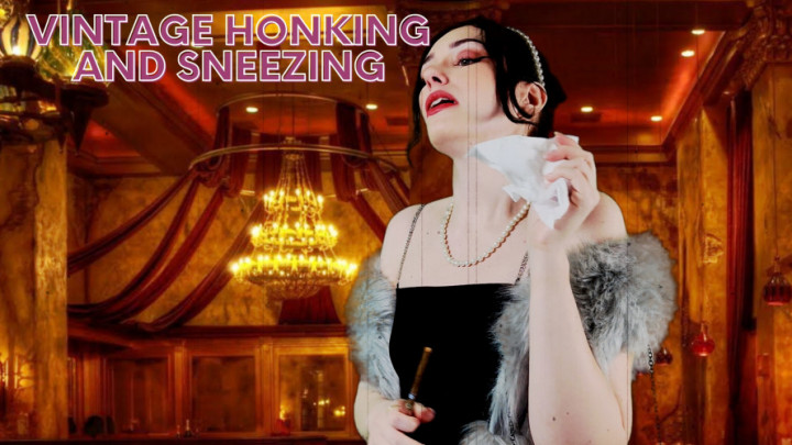 Honking and Sneezing Vintage 1960s Movie - March 07, 2023