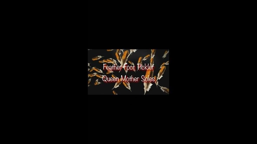Queenmothersoles Foot Fetish Feather Tickler
