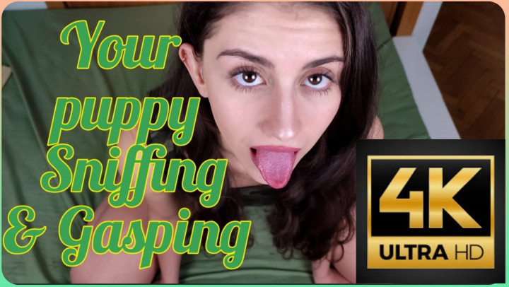 4K PUPPY SNIFFING & GASPING