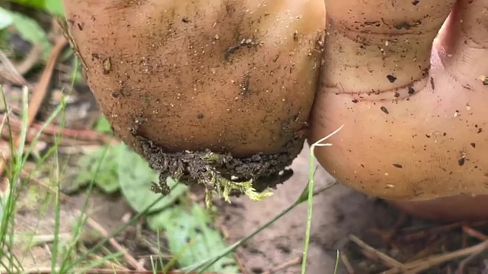 Ebony Girl Gets Feet Dirty Outside
