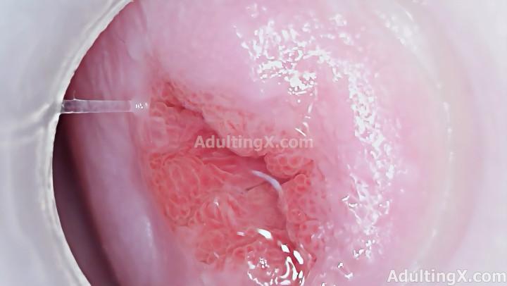 Cervix 4k Magnified Pussy Parts - Apr 17, 2021