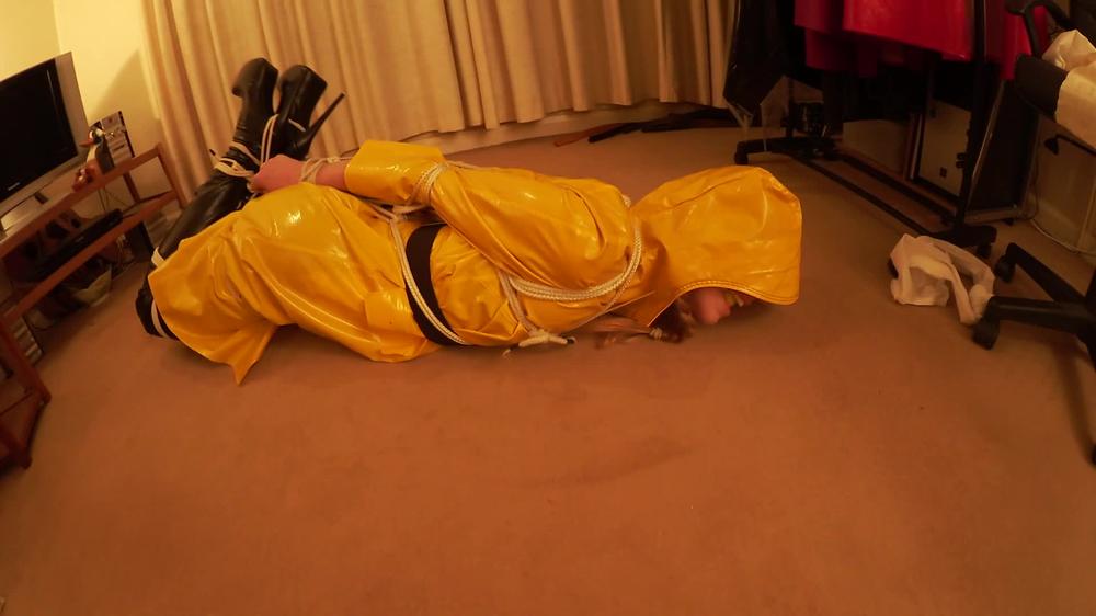 Ariel Anderssen A Hogtie To Remember