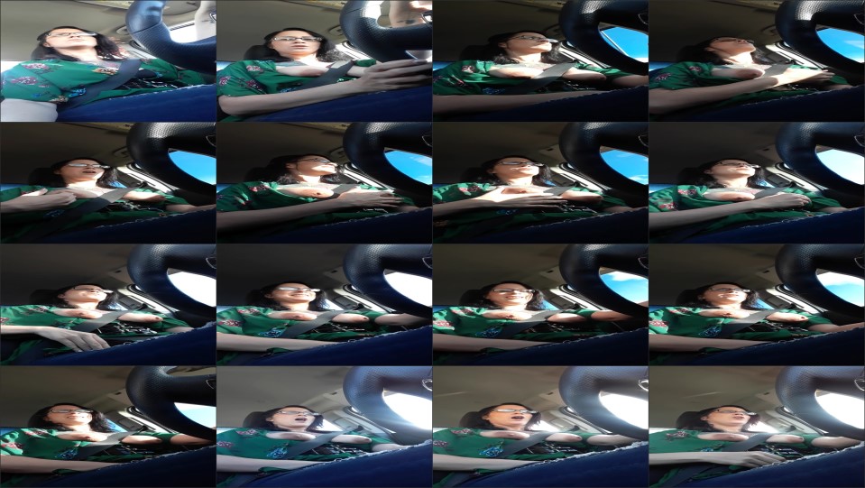 Stevie Layne Public Nudity Car Driving Tit Play Cum