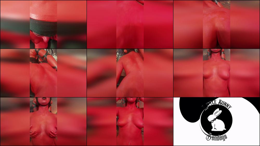 Star Wars A Horny Hope