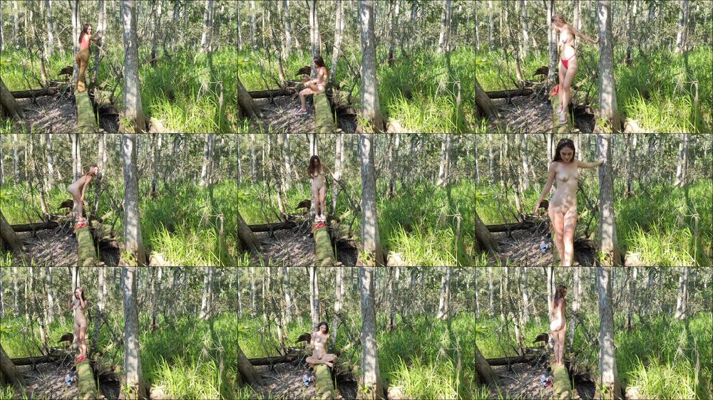 Fallen tree strip with tennis shoes 4K - July 05, 2023