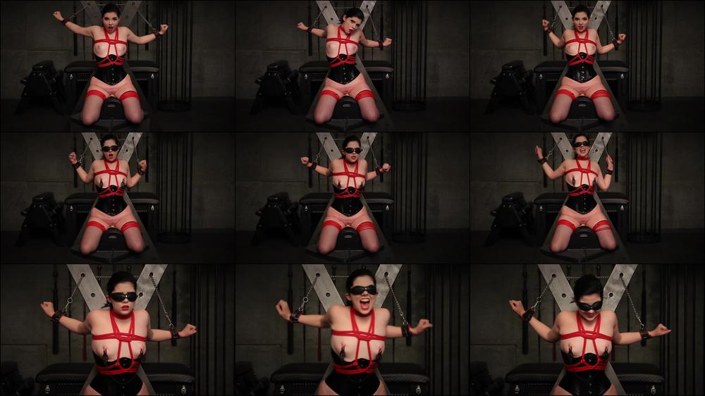 Abby's First Sybian Ride! REAL REACTION