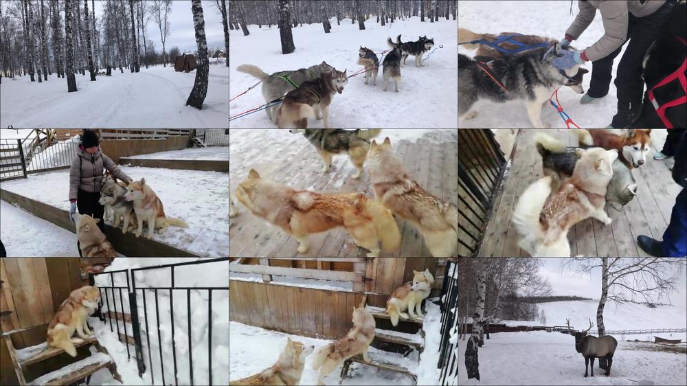 Gina Gerson in Siberia