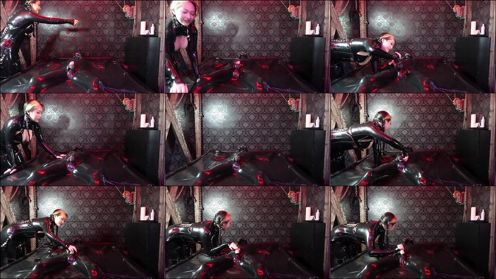 Milking slut in vacbed