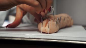 Princess Kaelin Dick Dissection (Princess Kaelin)