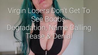 No Boobs For Virgin Losers: Degradation (Freya Reign)