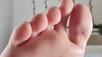 thetinyfeettreat 2022-05-25 at 23-36 Fansly (thetinyfeettreat)