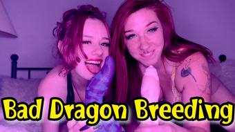 Bad Dragon Double Breeding (SavannahxSiren)