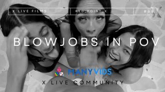 phenomenal blowjobs in pov (Xlivestudio)