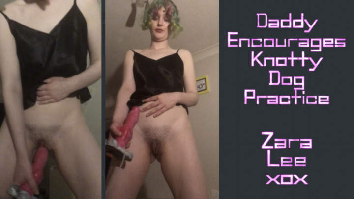Daddy Suggests Knotty Dog Practice Gape - Dec 4, 2022