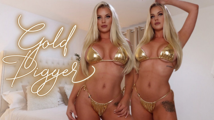Greedy Shiny Gold Digger - January 24, 2022
