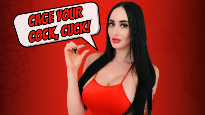Cage Your Cock, Cuck - December 06, 2024