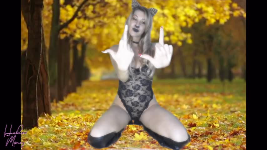 Halloween Series CATWOMAN FINDOM RIPOFF