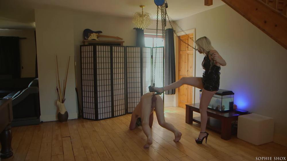 Sophieshox Suspended By The Balls On Hands Knees