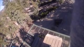 londongetsdirty 07 11 2019 82549375 London in the wild.mp4