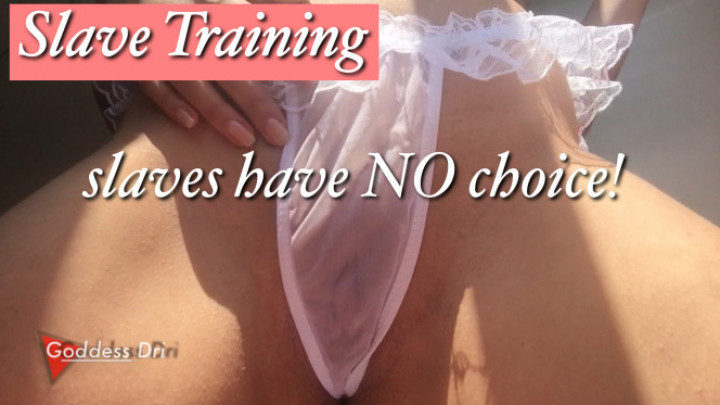 Slaves have no choice