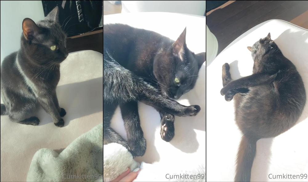 kattinthehat 235611329 2021 12 06 gooooood morning this is our morning routine i d like to submit my application for a stay at hom