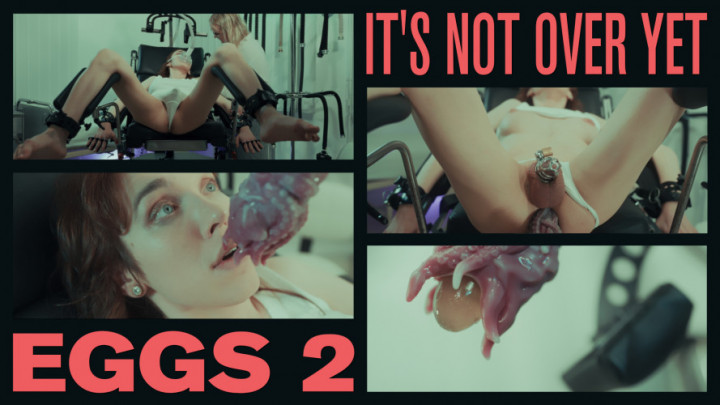 EGGS 2 - it's not over yet - April 26, 2025