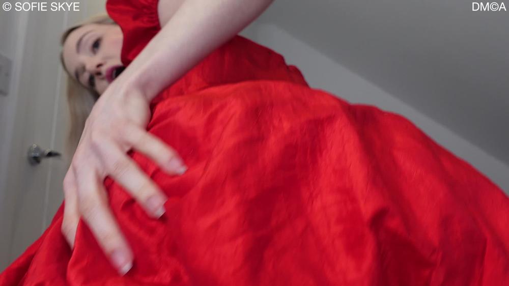 The Neighbours Taffeta Dress Hd