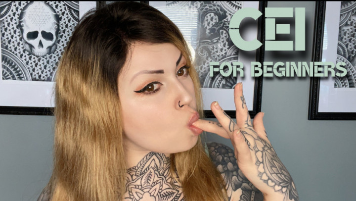 CEI For Beginners