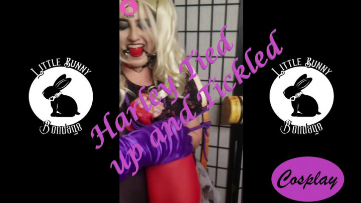 Harley Tickled - Nov 26, 2021