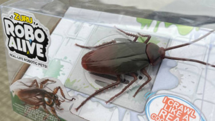 Cockroach unboxing + test :p - Jan 31, 2023