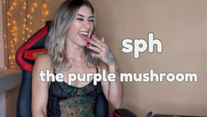 sph - the purple bubble - Mar 24, 2023