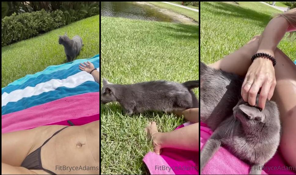 fitbryceadams 02 09 2021 2208384481 little sun and cat time with one of my guys.mp4