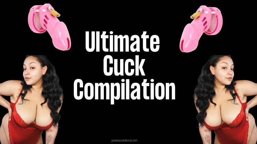 ULTIMATE CUCK COMPILATION - Dec 18, 2021