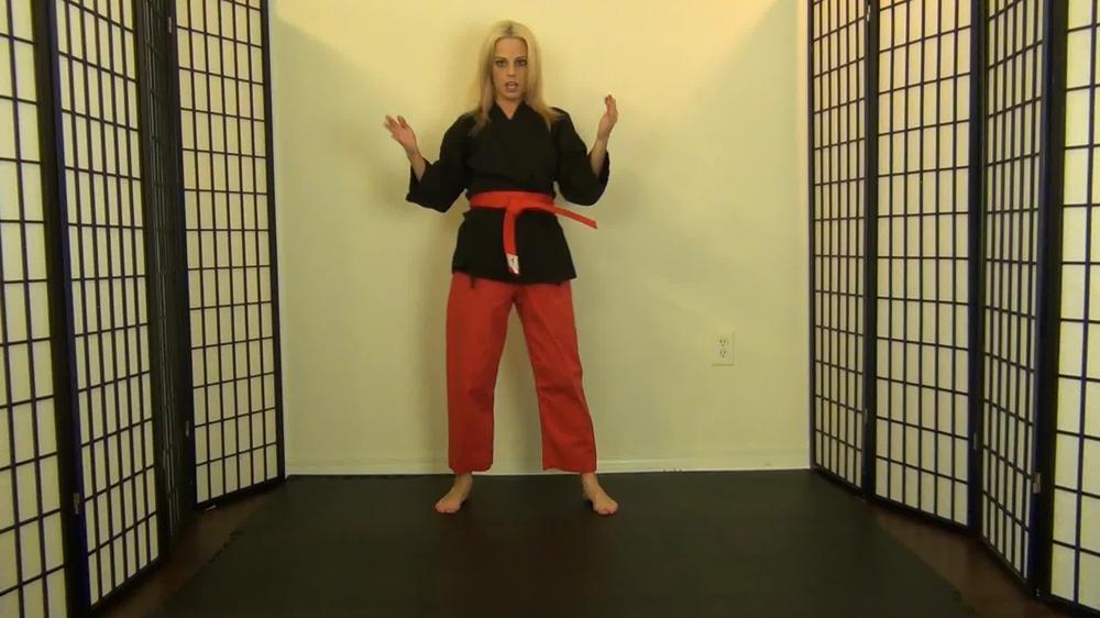 Roxieraefetish Roxie Raes Karate Kicking Chopping