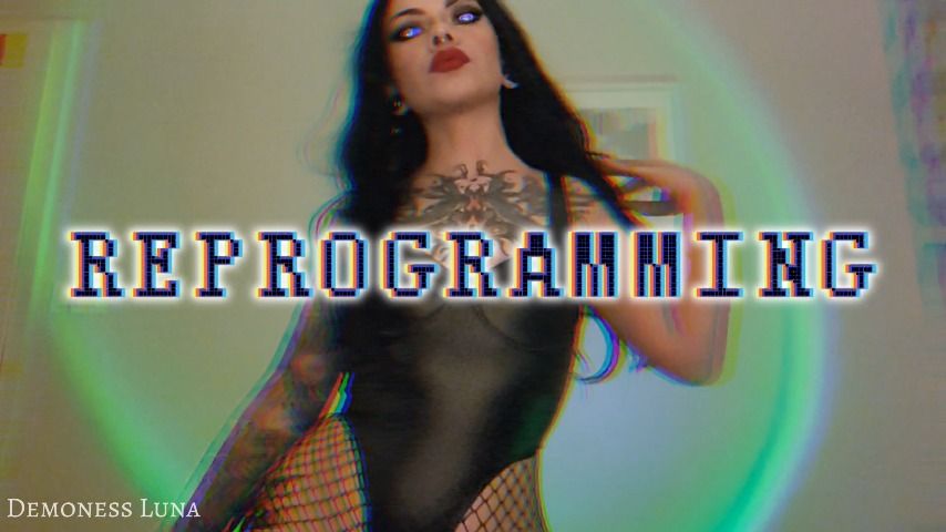 REPROGRAMMING TO FINANCIAL SLAVE