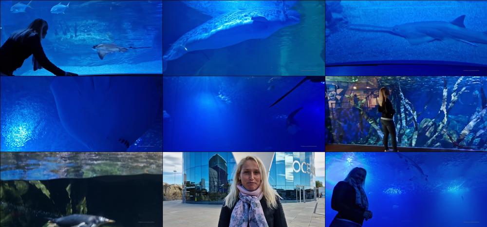 kathianobilixx 01 02 2023 2761398644 enjoy oceanography in valencia with me so spectacular