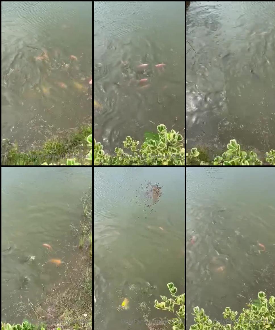 aeasia 412327307 2022 09 23 farm update the fish are doing very well. there is about 500 fish in there now. we started with ar 2