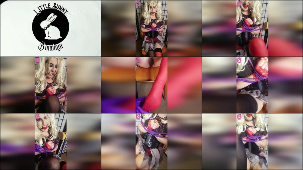 Harley Tickled - Nov 26, 2021