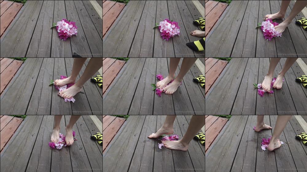 kasysnowpremium 13 07 2021 2162375198 Trampling pretty flowers with bare feet after taking my striped thigh highs off.