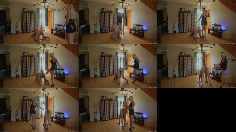 Sophieshox Suspended By The Balls On Hands Knees