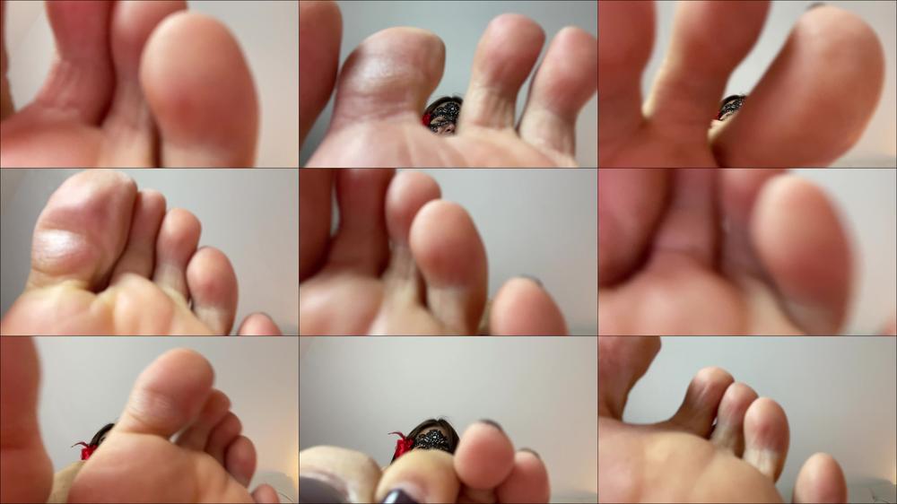 Meanasianwife - Valentine's Day Duty #1 | Smell And Lick My Feet