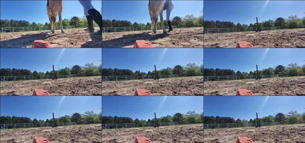 amarie301 12 11 2020 1244796004 If you're bored as fuck ....I know you're here to see tits, butttt I also ride horses. Thi