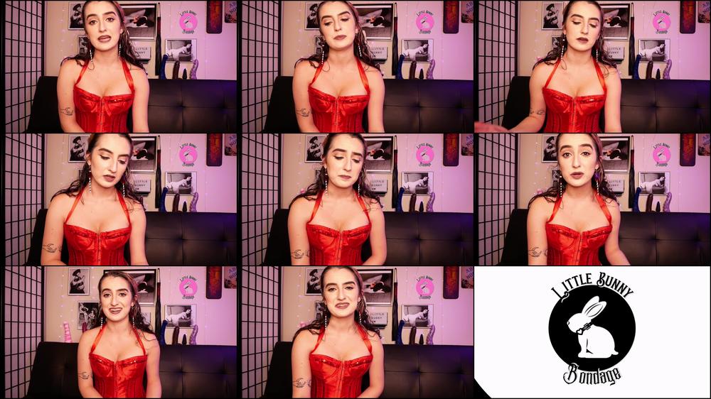 Bunny S Broadcast February