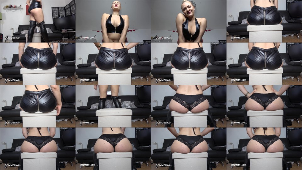 Dommelia - Sucking The Life Out Of My Human Chair